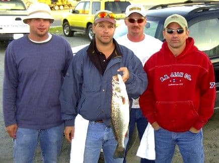 Mixed bag, sound side