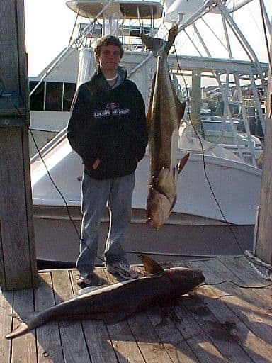 First cobia of the season