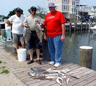 Citation red drum in the spring