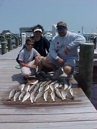Early summer on the sound