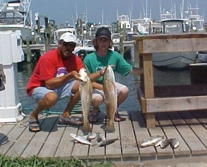 Sound-side flounder