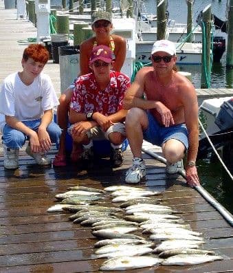 Mid-summer drum