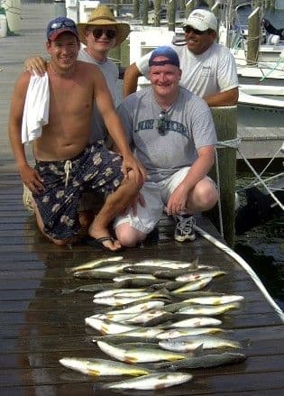 Afternoon bluefish blitz