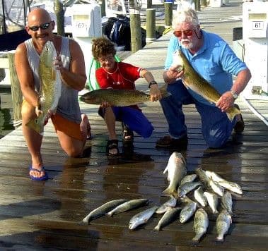 Speckled trout in the creek