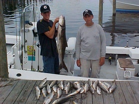 Late summer, full cooler