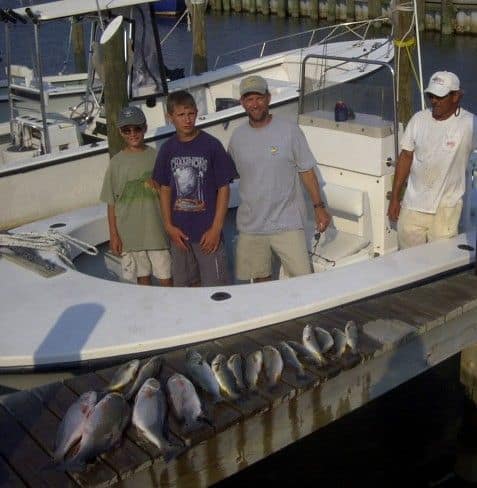 Summer red drum