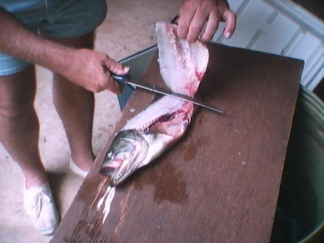 Fish cleaning step 2
