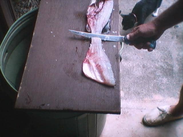 Fish cleaning step 3