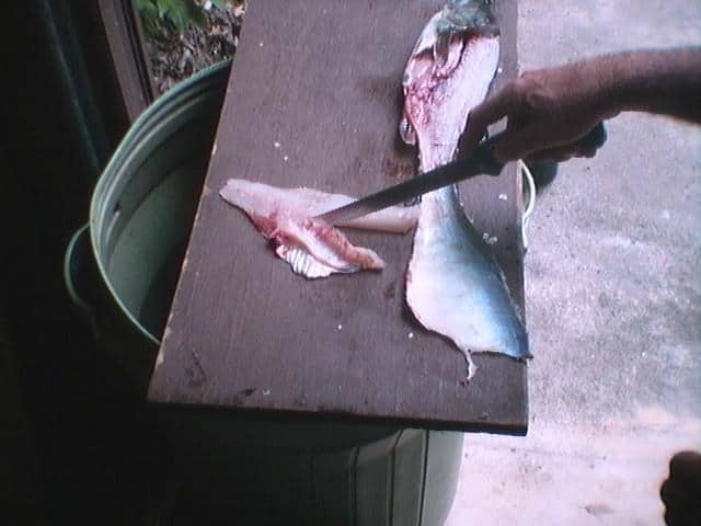 Fish cleaning step 4